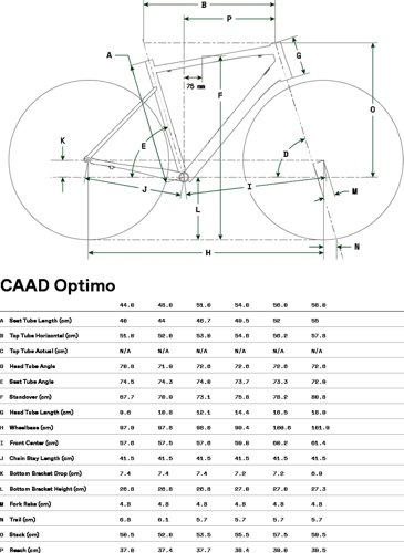 Cannondale CAAD Optimo 4  - Thumbnail 3