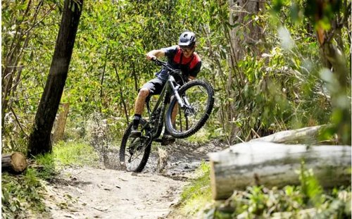 Polygon Collosus N9  - Thumbnail 6