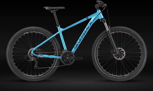 silverback Splash Delight 