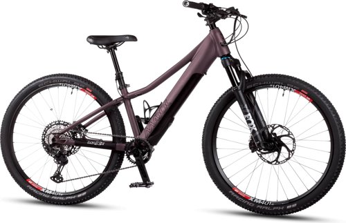 maxx Race ELF (Fazua) 