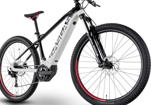 gasgas G CROSS COUNTRY 2.0  - Thumbnail 5