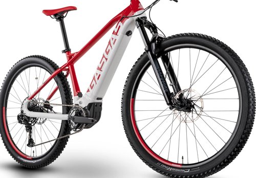 gasgas G CROSS COUNTRY 3.0  - Thumbnail 5