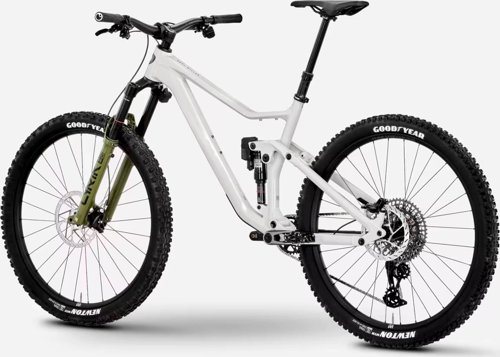 Rose Root Miller 4  - Thumbnail 4