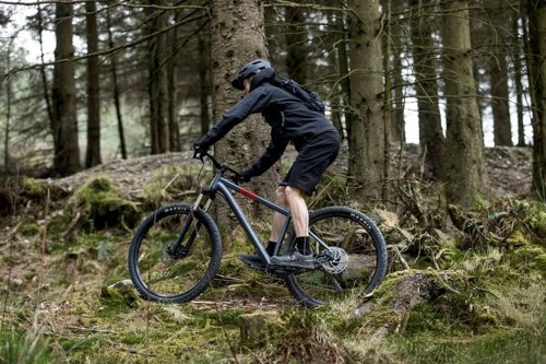 Voodoo HORDE  - Thumbnail 2