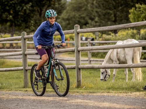 Schwinn Mesa 3 Step-Thru  - Thumbnail 3