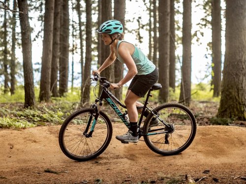 Schwinn Mesa 3 Step-Thru  - Thumbnail 4