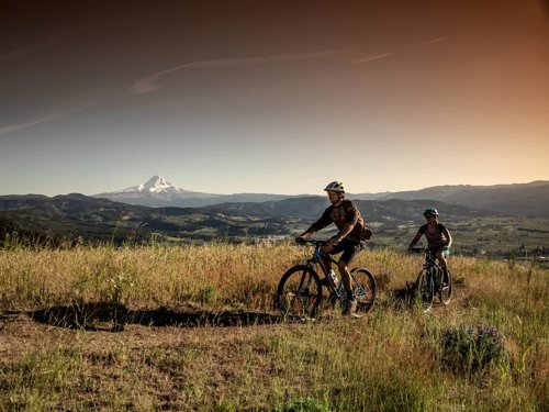 Schwinn Mesa 1  - Thumbnail 2