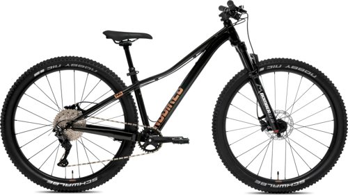 NS ECCENTRIC MINI PRO 