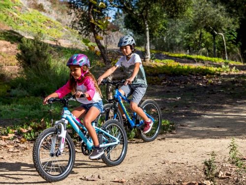 Schwinn Thrasher 20″  - Thumbnail 2