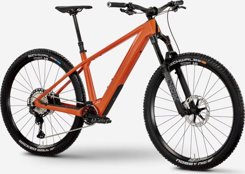 Rose Bonero Plus 2  - Thumbnail 2