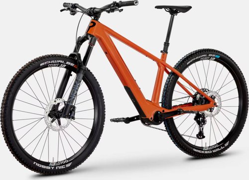 Rose Bonero Plus 2  - Thumbnail 3