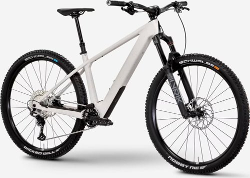 Rose Bonero Plus 1  - Thumbnail 2