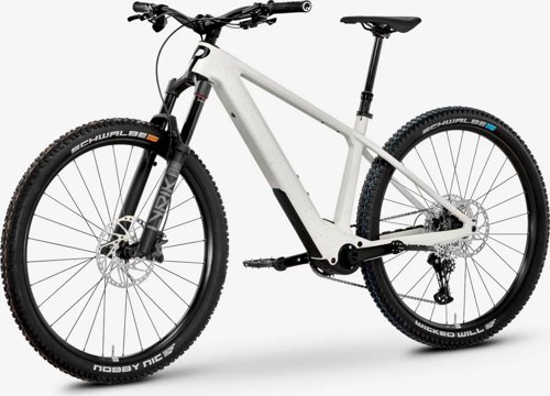 Rose Bonero Plus 1  - Thumbnail 3