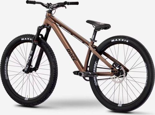 Rose THE BRUCE 2  - Thumbnail 4