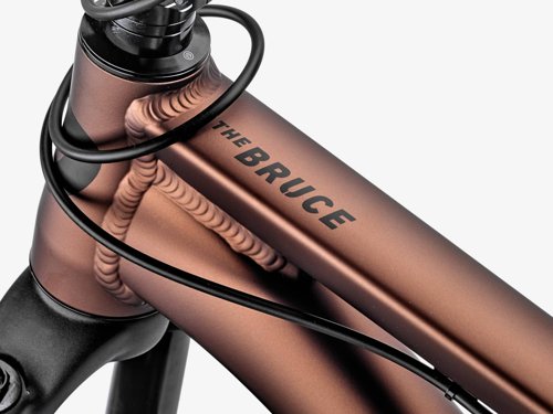 Rose THE BRUCE 1  - Thumbnail 5