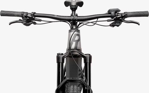 Rose ROOT MILLER PLUS 1  - Thumbnail 5