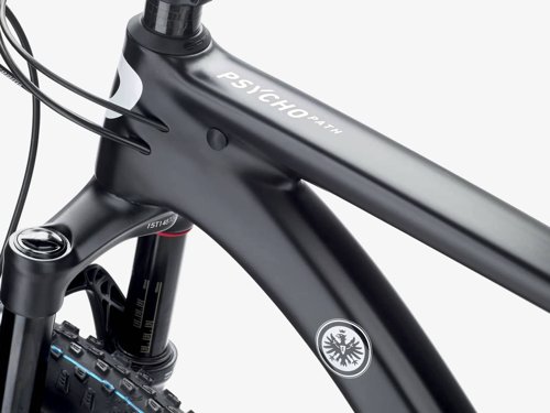 Rose PSYCHO PATH x EINTRACHT FRANKFURT  - Thumbnail 5