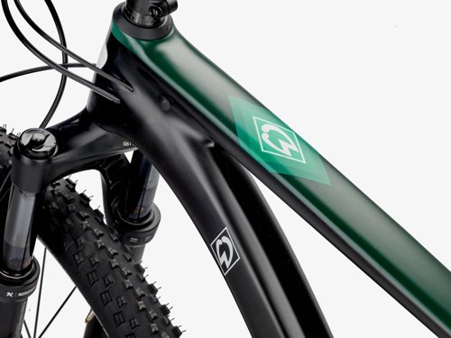 Rose Psycho Path Werder Bremen  - Thumbnail 5