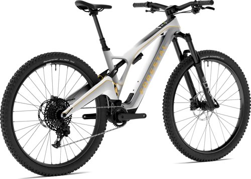 Forestal Cyon Halo  - Thumbnail 3