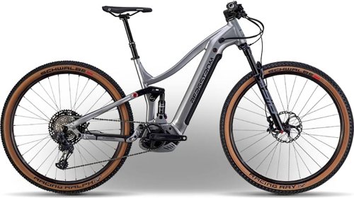 bergstrom XCV 869 Race 