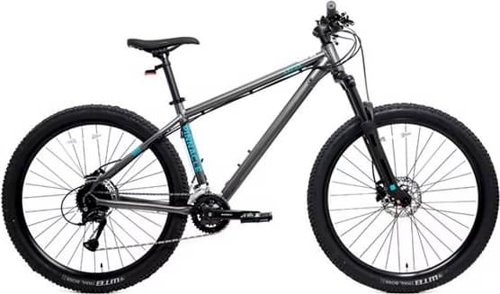 Pinnacle Kapur 2 Mountain Bike 