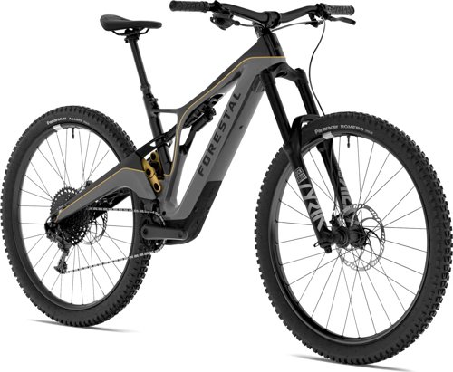 Forestal Siryon Halo  - Thumbnail 2