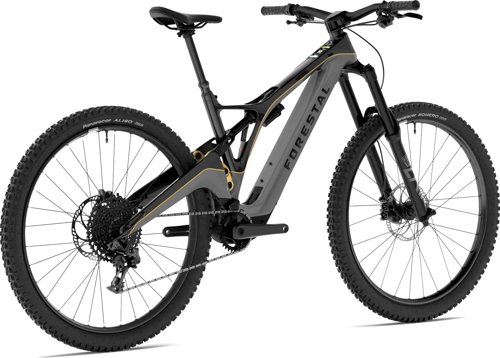 Forestal Siryon Halo  - Thumbnail 3