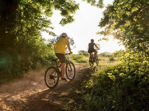 Schwinn Ridgewood 27.5in Electric Bike  - Thumbnail 3