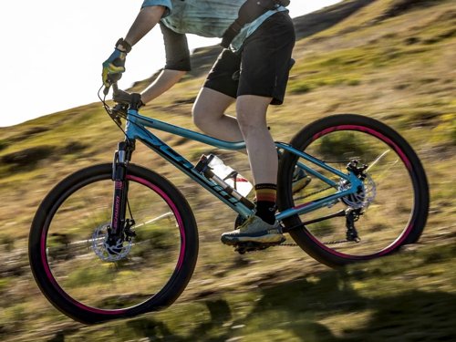 Schwinn High Timber ALX  - Thumbnail 2