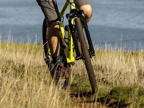 Schwinn High Timber  - Thumbnail 5