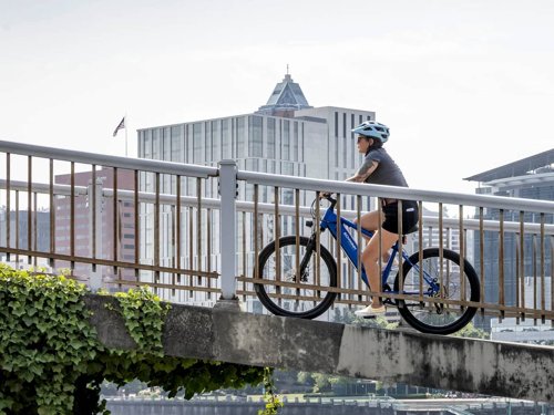 Schwinn Marshall Step-Thru Electric Bike  - Thumbnail 2