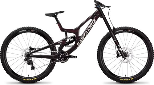 Santa Cruz V10 S 29 / Carbon CC 