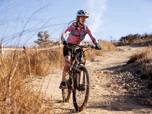 Schwinn Roanoke 29in Electric Bike  - Thumbnail 4